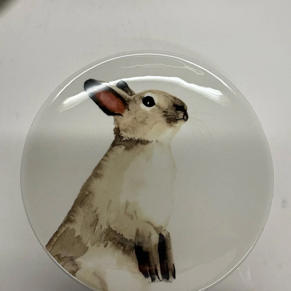 Arlington Designs Easter Bunny dessert appetizer Plates - Set of 4